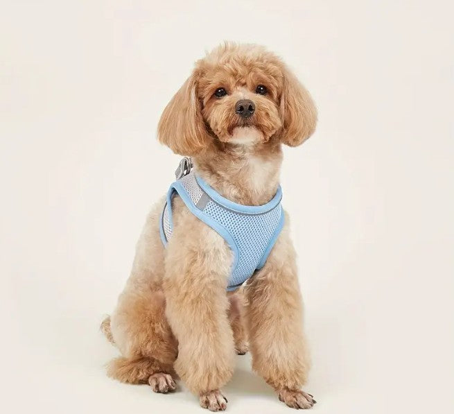 Comfy & Safe Pet Harness ๐ฆฎ