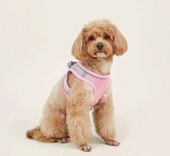 Comfy & Safe Pet Harness ๐ฆฎ